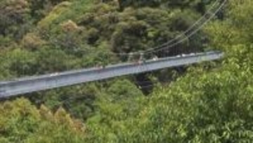 5月4日はみどりの日　綾町の照葉樹林　照葉大吊橋は大勢の行楽客でにぎわう