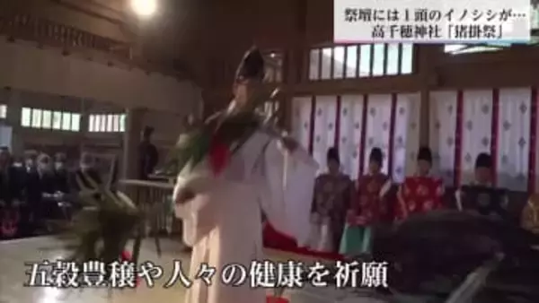 鎌倉時代から続くとされる伝統の猪掛祭　高千穂神社で五穀豊穣などを祈る