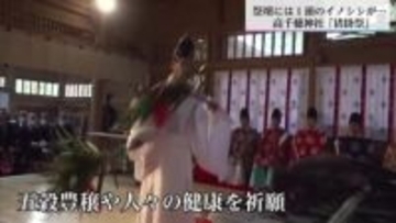 鎌倉時代から続くとされる伝統の猪掛祭　高千穂神社で五穀豊穣などを祈る
