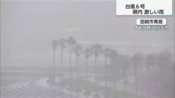 台風6号接近　宮崎県内各地で40ミリ超の雨　夕方にかけて線状降水帯の恐れも