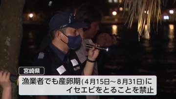 イセエビ漁解禁 宮崎市青島で密漁防ぐ初の合同夜間パトロール 去年の密漁は64件