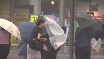 宮崎県南部を中心に大雨　JR日南線一部区間で運転見合わせ（午前11時時点の情報）