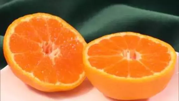 「口の中でなくなる食感」「ジューシーで柔らか」ハウスみかん初競り　最高値は過去タイの8000円