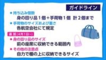 4月1日から変わること　機内持ち込み手荷物にガイドライン　業界統一で臨むそのわけは