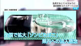 「「覚せい剤や大麻同様に危険なもの」乱用すると数分で意識が飛ぶ　”ゾンビたばこ”の危険性」の画像1