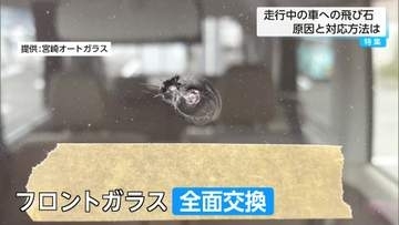 【特集】GW移動に注意　小さなヒビが20万円に？車の飛び石被害は「早めの修理」が大切