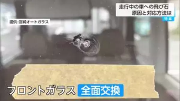 【特集】GW移動に注意　小さなヒビが20万円に？車の飛び石被害は「早めの修理」が大切