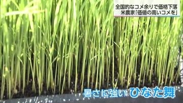 米の在庫は…価格は…えびの市で田植え「品質高い米作りで産地維持へ」