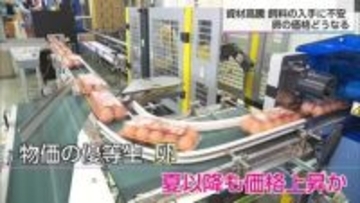 物価の優等生・卵は夏以降も価格上昇か　中東情勢の緊迫化で資材高騰・餌の入手に不安