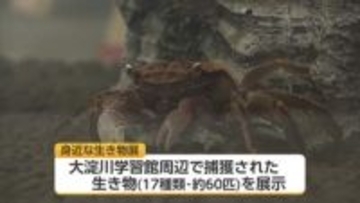 つかまえて育ててみよう！宮崎市大淀川学習館で「身近な生き物展」