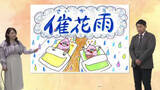 「３月３日（火）宮崎の天気 「雨は朝まで 花粉に注意」」の画像1