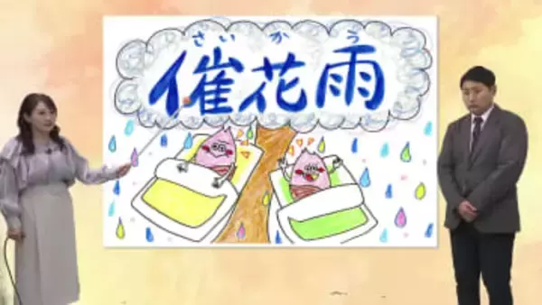 ３月３日（火）宮崎の天気 「雨は朝まで 花粉に注意」