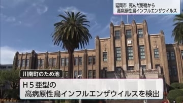 県が防疫の強化呼びかけ　延岡市で死んだ野鳥から高病原性鳥インフルエンザウイルス