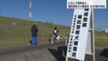 犯人や行方不明者を捜索「嘱託警察犬」宮崎市の審査会に約４０頭が参加