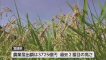宮崎県の農業産出額3725億円で全国7位　取引価格上昇のコメは91億円増