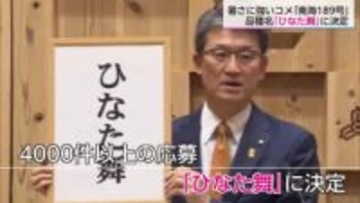 来年から発売　暑さに強い米・南海189号の品種名は「ひなた舞」に決定