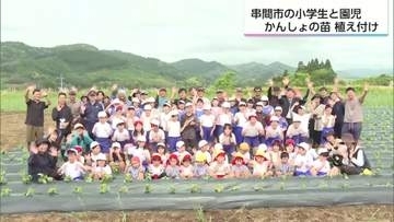「甘くて大きいお芋になって」串間市大束小学校でかんしょの苗植え