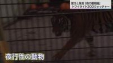 普段見ることのできない動物の生態が…閉園後の動物を観察　トワイライトZOOウォッチャー