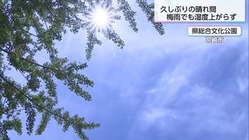久しぶりに梅雨の晴れ間　宮崎県内カラっとした陽気に