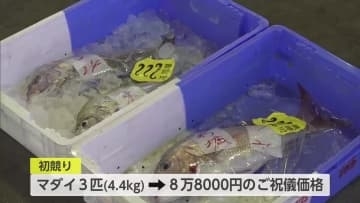 港に活気！日南市南郷町の目井津港　南郷漁協の初セリ