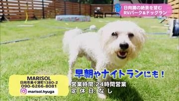 日向市美々津にオープン　日向灘の絶景臨むRVパーク【トレリン】