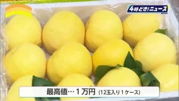 宮崎特産「ハウス日向夏」販売開始　作家・日向夏さんの人気小説『薬屋のひとりごと』とコラボも