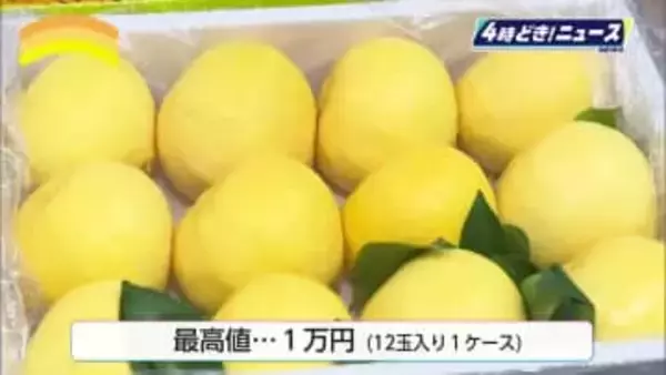 宮崎特産「ハウス日向夏」販売開始　作家・日向夏さんの人気小説『薬屋のひとりごと』とコラボも