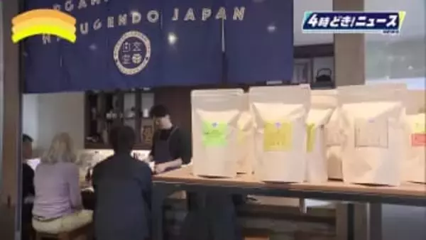 世界的な抹茶ブームで日本茶輸出は拡大　ドイツ人バイヤーが宮崎の茶業者を視察