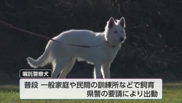犯人や行方不明者を捜索「嘱託警察犬」宮崎市の審査会に約40頭が参加
