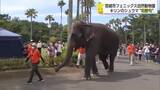 「こどもの日　動物園は中学生以下入場無料　キリンのシュウマくんには「初節句」を祝うプレート」の画像1