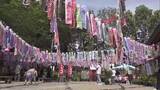 「神社の境内を888匹のこいのぼりが泳ぐ　串間神社「鯉のぼり祭り」」の画像1