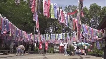 神社の境内を888匹のこいのぼりが泳ぐ　串間神社「鯉のぼり祭り」