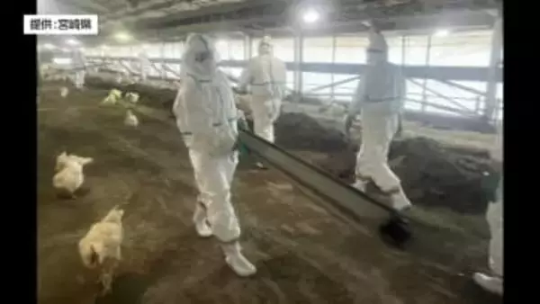 延岡市で発生した高病原性鳥インフルエンザ　鶏の処分・農場消毒など防疫終了