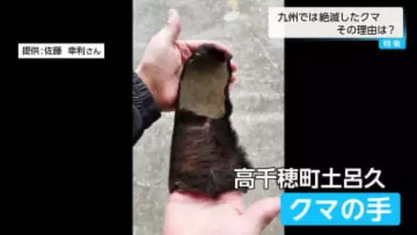 全国で多発する熊被害「なぜ宮崎に熊はいない？」