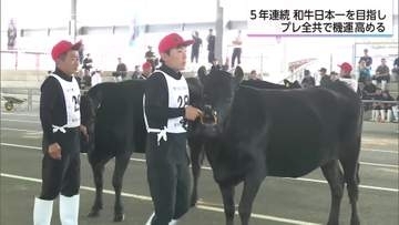 1年後の全国和牛能力共進会に向け機運醸成　都城市で「プレ全共」開催