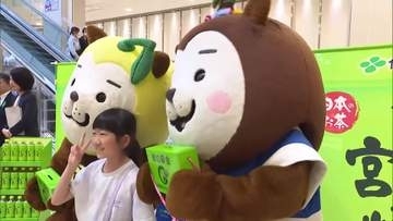 緑化推進へ　シバザクラやブルーベリーなどの苗木を無料配布