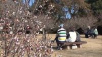 県内各地で気温上がる　春の陽気に誘われて梅園に多くの人