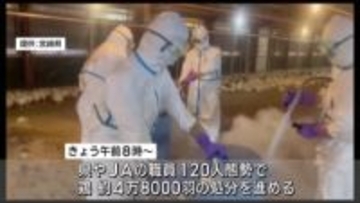 宮崎県内今季１例目　日向市のブロイラー農場で高病原性鳥インフル　鶏の処分はじまる