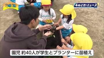子供が苦手な野菜上位のピーマン　自分たちで育てて苦手意識を克服　カラーピーマンの苗植え