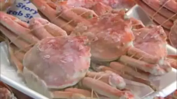 正月用のタイやカニなどを販売　宮崎市中央卸売市場　仲卸売場の一般開放