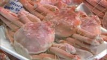 正月用のタイやカニなどを販売　宮崎市中央卸売市場　仲卸売場の一般開放