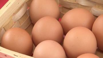 「より自然な味わいのあるタマゴが作れる」食品コンテストで県内初の最優秀賞のタマゴ　そのおいしさの秘密は…？　山梨・忍野村