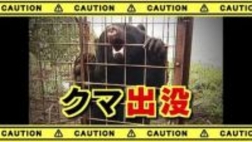 【クマ出没】　犬の散歩中に目撃　河川敷に80センチ程度のクマ　春になってからは初の出没　山梨・身延町