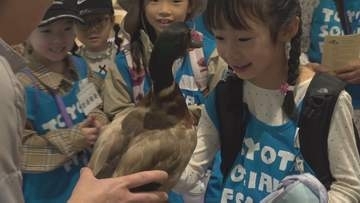 富士北麓地域の豊かな自然や生態系を学ぶ　野鳥をテーマに環境保護に対する理解深める