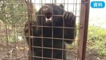 「緊急と言っておきながら年明けとかが多くて」クマ対策で県が説明会　市町村からは"遅い"という声　緊急銃猟の支援など　山梨