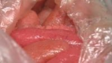 明太子とたらこは物価の優等生？　スケソウダラ漁獲量が安定だけではない理由　一方で「4月ぐらいから値上げする可能性が」