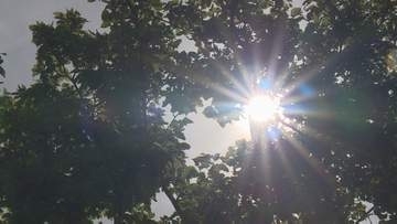 予想最高気温は甲府で33度　4日連続の真夏日か　熱中症対策を　山梨