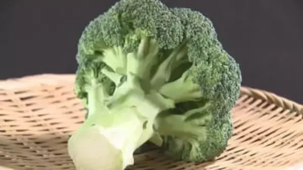 ブロッコリーが国の指定野菜に　ジャガイモ以来およそ50年ぶり　ビタミンC、Aが豊富　おすすめの食べ方は茹でるより蒸す