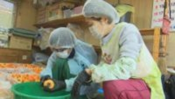 「売るものだから丁寧に」　中学生が特産品“ころ柿”作り　12月中旬に出来上がる予定　甲州市・松里中学校