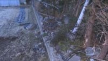 【速報】塀などに衝突　同乗の女性が死亡　過失運転致死・酒気帯び運転の疑いで男を逮捕　山梨